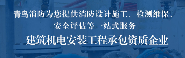 杭州青鸟